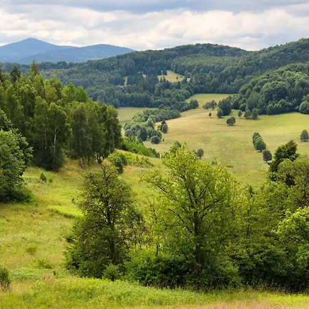 Stara Szkola W Romanowie