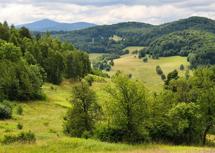 Stara Szkola W Romanowie